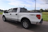 Used 2013 Ford F150 XLT w/ Luxury Equipment Group image 4