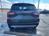 Used 2022 Ford Escape SE w/ Convenience Package image 4