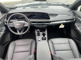 New 2025 Cadillac XT4 Premium Luxury image 4