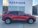 Used 2021 Ford Escape SE w/ Cold Weather Package image 4