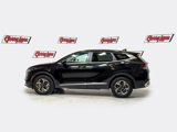 Used 2024 Kia Sportage LX image 4