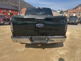Used 2015 Ford F150 XLT w/ Equipment Group 302A Luxury image 4