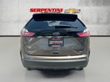 Used 2019 Ford Edge SE w/ Cargo Accessory Package image 6