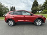 New 2025 Ford Escape Active w/ Cold Weather Package image 5