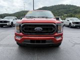 Certified 2023 Ford F150 XLT w/ Equipment Group 302A High image 2