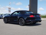 Used 2023 Ford Mustang Premium image 5