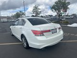 Used 2011 Honda Accord EX-L image 3