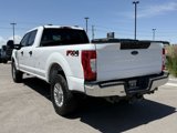 Used 2020 Ford F250 XL w/ STX Appearance Package image 4