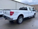 Used 2012 Ford F150 XLT w/ XLT Chrome Pkg image 5