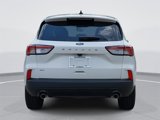Used 2021 Ford Escape SE w/ SE Sport Appearance Package image 6
