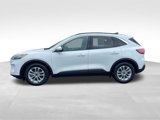Used 2020 Ford Escape SE image 2