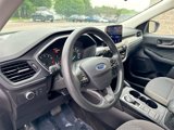 Used 2022 Ford Escape SE image 5