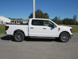 New 2024 Ford F150 XLT w/ Equipment Group 303A High image 2