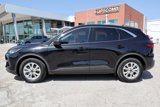 Used 2024 Ford Escape Active image 2
