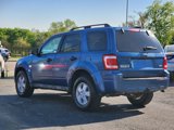 Used 2009 Ford Escape XLT image 5