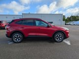 Used 2020 Ford Escape SE Sport image 4