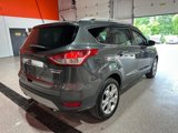 Used 2016 Ford Escape Titanium image 5