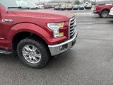 Used 2016 Ford F150 XLT w/ Equipment Group 302A Luxury image 4