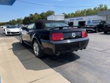 Used 2008 Ford Mustang GT Premium image 6