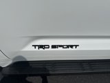 Used 2025 Toyota Sequoia SR5 w/ SR5 Premium Package image 3