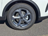 New 2025 Ford Escape ST-Line w/ Tech Pack #1 image 5