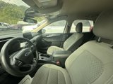 Used 2020 Ford Escape SE image 4