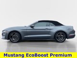 Certified 2022 Ford Mustang Premium image 3