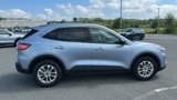 Used 2022 Ford Escape SE w/ Convenience Package image 4
