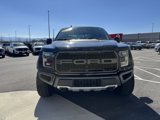 Used 2019 Ford F150 Raptor w/ Equipment Group 802A Luxury image 2