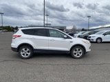 Used 2013 Ford Escape SE image 2