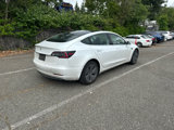 Used 2019 Tesla Model 3 Standard Range image 3