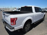 Used 2017 Ford F150 XLT w/ Equipment Group 301A Mid image 6