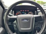Used 2013 Ford F150 FX4 w/ Luxury Equipment Group image 5