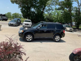 Used 2011 Ford Escape XLT w/ 202A Rapid Spec Order Code image 6