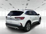 Used 2022 Ford Escape SEL image 3