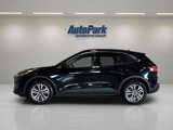 Used 2020 Ford Escape SEL image 4