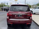 Used 2023 INFINITI QX80 Premium Select w/ All-Season Package image 6