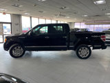 Used 2009 Ford F150 Platinum image 4