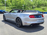 Used 2020 Ford Mustang Premium image 4