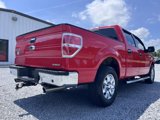 Used 2013 Ford F150 XLT w/ Luxury Equipment Group image 5