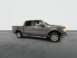 Used 2014 Ford F150 XLT w/ Equipment Group 302A Luxury image 2