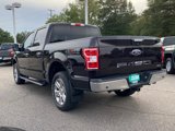 Used 2020 Ford F150 XLT w/ Equipment Group 302A Luxury image 6