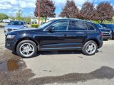 Used 2016 Audi Q5 2.0T Premium Plus w/ Technology Package image 2