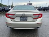 Certified 2019 Honda Accord EX-L image 3