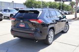 Used 2019 Toyota RAV4 XLE Premium image 2