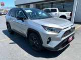 Used 2019 Toyota RAV4 XSE image 2