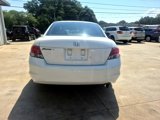 Used 2010 Honda Accord LX-P image 6