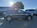 Used 2018 Ford Edge SE w/ Cargo Accessory Package image 3