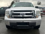 Used 2013 Ford F150 XLT image 3