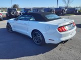 Used 2022 Ford Mustang Premium image 5